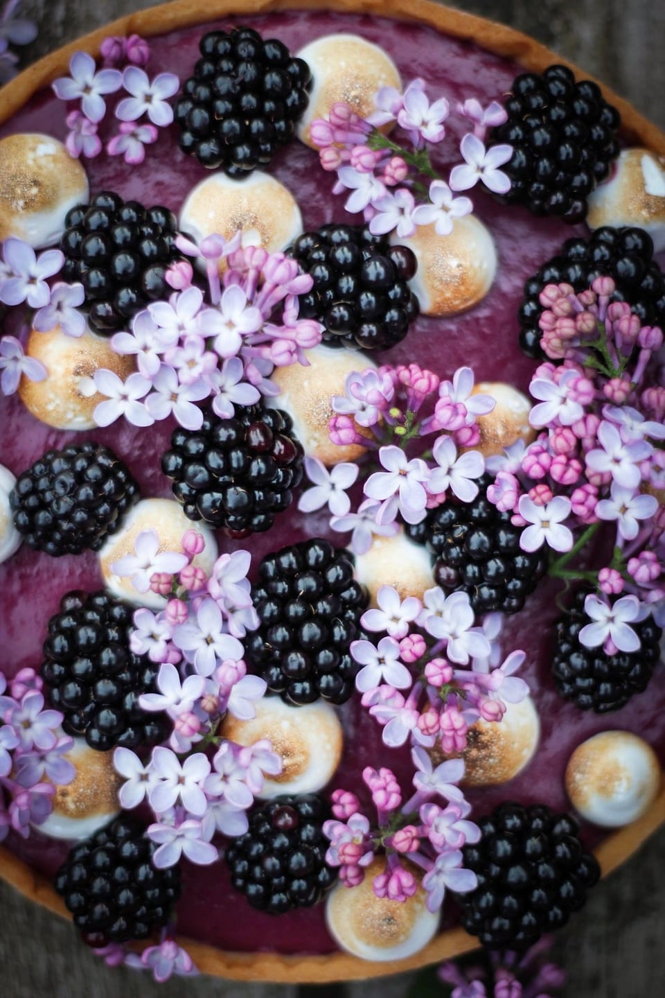BLACKBERRY AND DARK CHOCOLATE GANACHE TART