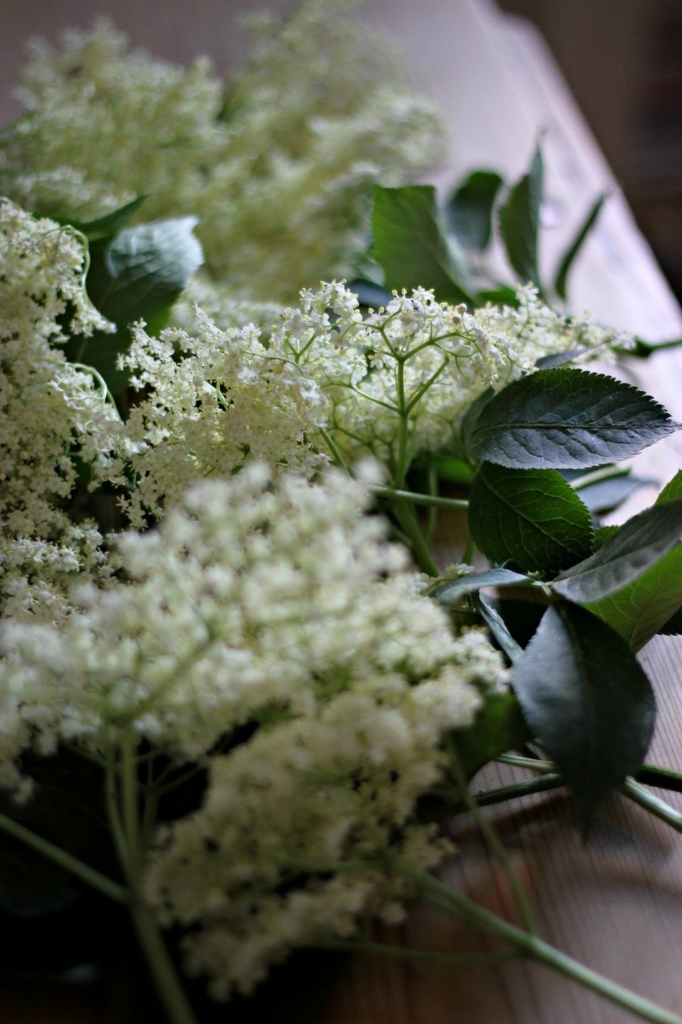 ELDERFLOWER CUPCAKES WITH LEMON MERINGUE FROSTING