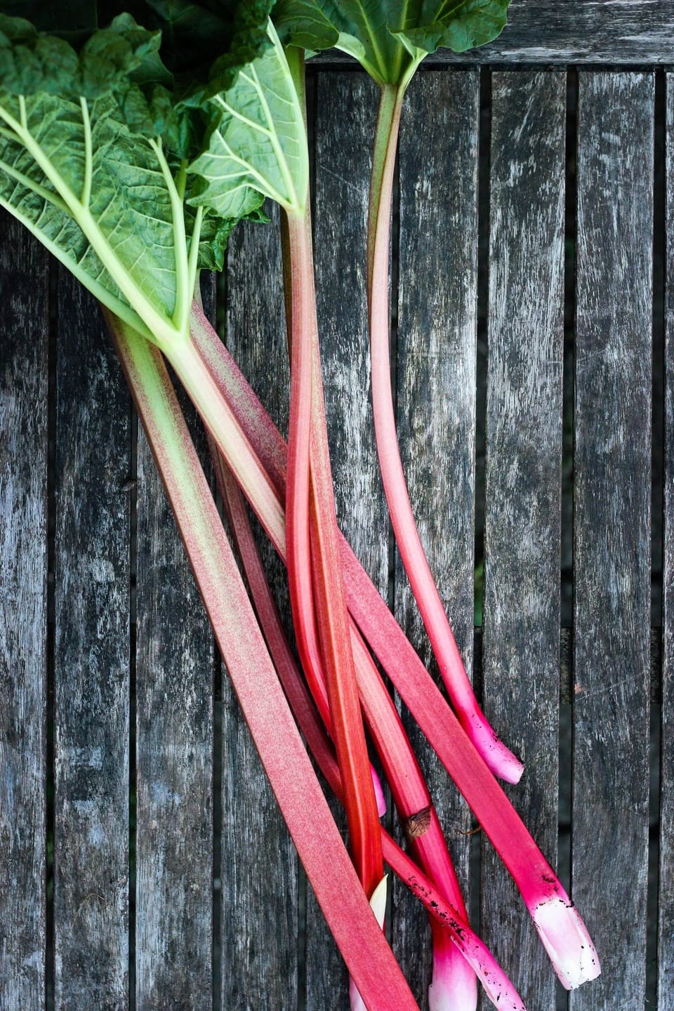 RHUBARB SYRUP