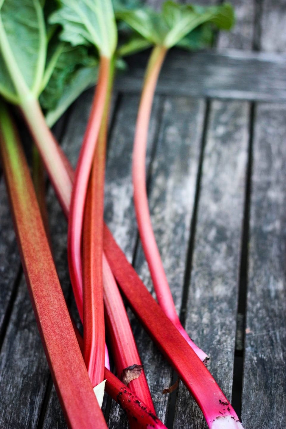 RHUBARB SYRUP